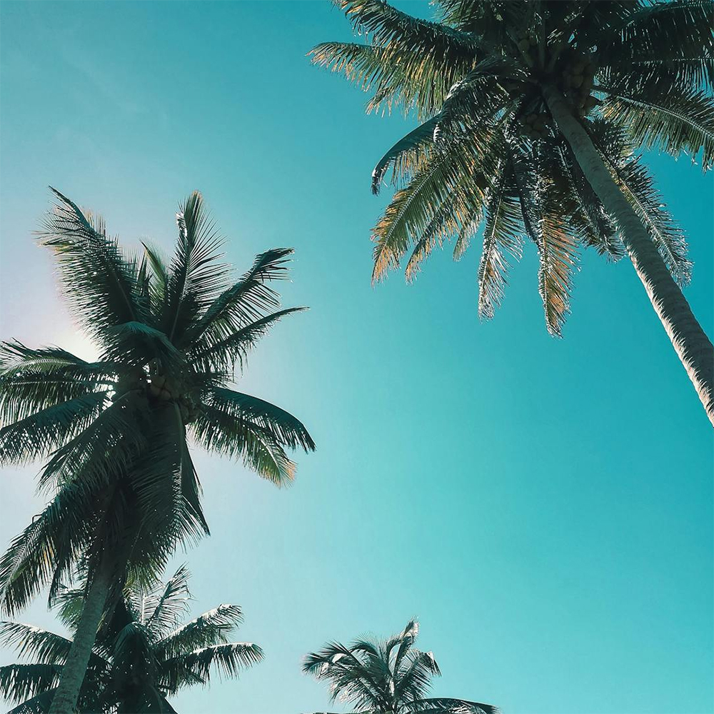 Barr Display Hyvä Retrofit