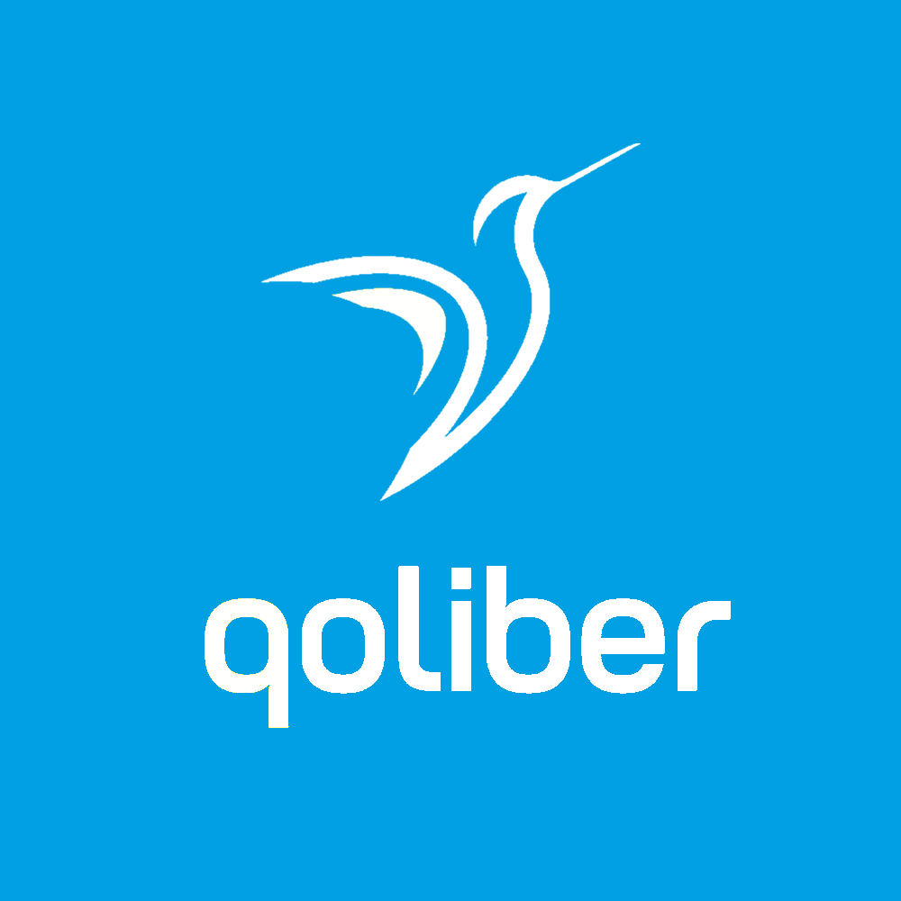 We Are qoliber Platinum Partners